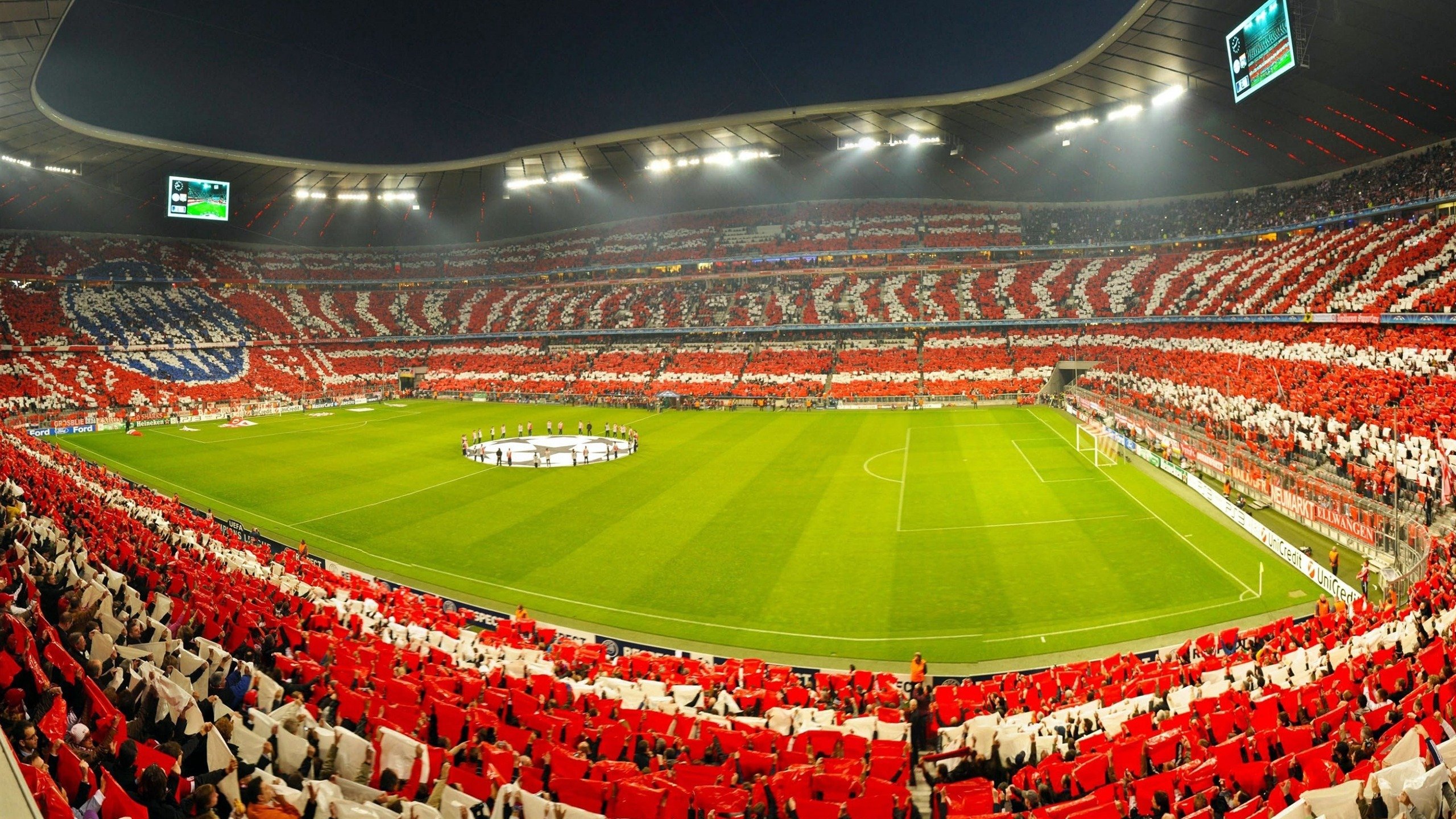 城市接力马拉松世界巡回赛 深圳站企业组队伍数量创新高